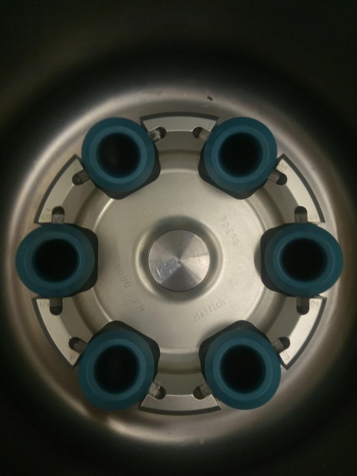 Hettich EBA 280S Serology Centrifuge w/ 6-Place Swing-Out Rotor