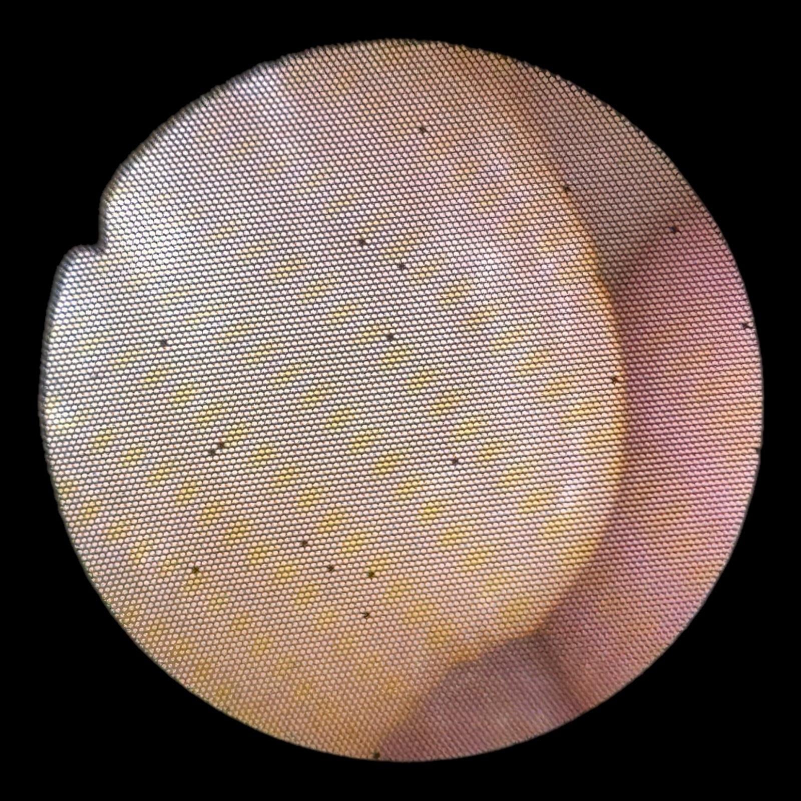Olympus BF Type 1T30 Flexible Fiberoptic Bronchoscope (19 Broken Fibers) BF-1T30