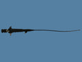 Richard Wolf 7305.001 Flexible Fiber Urethro-Cystoscope