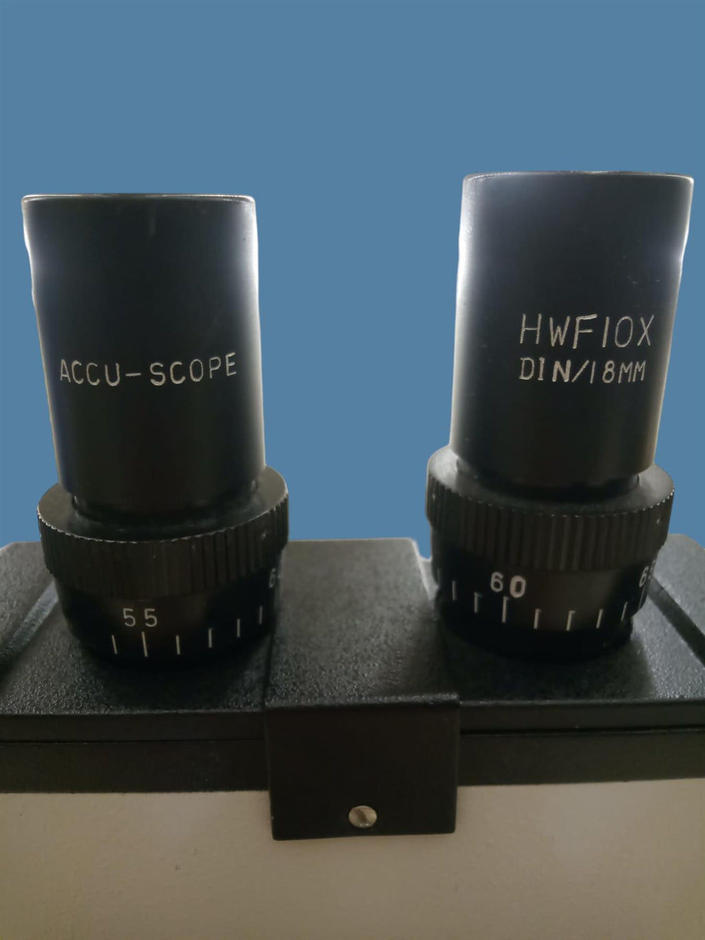 Accu-Scope Binocular Microscope w/ Halogen Light, 4x 10x 40x 100x Objectives